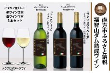 福智山ダム熟成 赤白ワイン 3本セット FD324 イタリアワイン マラテスタ 酒 お酒 福岡県 直方市