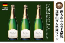 福智山ダム熟成 スパークリングワイン 3本セット FD325 ウィッシュ・パール 酒 お酒 福岡県 直方市