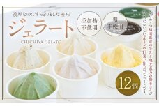 添加物不使用 ジェラート 12個セット ジェラート シャーべット アイス スイーツ 氷菓子 デザート ミルク チョコレート 珈琲牛乳 黒ごま きな粉 よもぎ ラズベリー 添加物 たまご 不使用