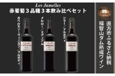 福智山ダム熟成 LAG 赤葡萄3品種 飲み比べ レ・ジャメル カベルネソーヴィニヨン メルロー シラー 各750ml×1本 FD222 赤ワイン ワイン お酒 酒