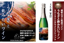 福智山ダム熟成 うなぎと飲みたいスパークリングワイン FD331 熟成ワイン ワイン 酒 お酒