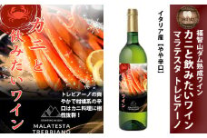 福智山ダム熟成 カニと飲みたい白ワイン FD332 熟成ワイン 白 ワイン 酒 お酒