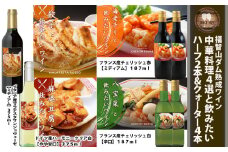 福智山ダム熟成 中華料理4選と飲みたいワイン 6本詰め合わせセット FD340 熟成ワイン ワイン 酒 お酒