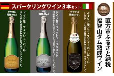 福智山ダム熟成 スパークリングワイン 3本詰め合わせ セット FD323 750ml 熟成ワイン ワイン 酒 お酒