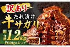 【訳あり】 秘伝 コク旨 たれ漬け 牛サガリ 肉 1.2kg