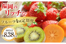 福岡のリッチなフルーツ4回定期便【2025年10月下旬～2026年1月下旬発送予定】 秋王 柿 かき カキ 甘うぃ キウイ いちご イチゴ 苺 あまおう 大きい 大粒 あまい 甘い 果汁 果物 フルーツ 高級 8.38kg