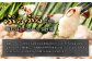 もつ鍋セット 10人前