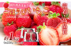 あまおう ごほうびいちご 約1kg（約250g×4パック） ＜2025年1月以降順次発送予定＞ いちご 苺 高品質 完熟 フルーツ 果物 お取り寄せ ご当地グルメ 福岡土産 取り寄せ グルメ 福岡県 食品