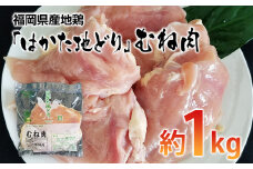 福岡県産地鶏「はかた地どり」むね肉(約1kg)【田川市】