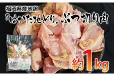 福岡県産地鶏「はかた地どり」ぶつ切り肉(約1kg)【田川市】