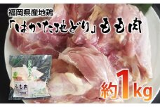 福岡県産地鶏「はかた地どり」もも肉(約1kg)【田川市】