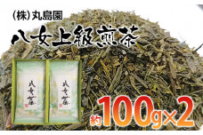 八女上級煎茶(約100g×2)【田川市】