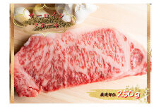 博多和牛サーロインステーキ　250g（250g×1枚）