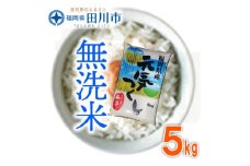 福岡県産元気つくし 無洗米 5kg×1