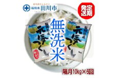 【定期便/隔月】福岡県産元気つくし 無洗米 10kg×6回