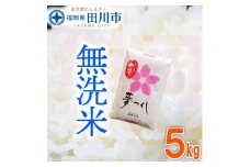 福岡県産夢つくし 無洗米 5kg×1