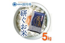 福岡県産元気つくし 5kg×1