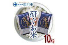 福岡県産元気つくし 10kg(5kg×2)