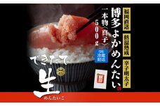 無冷凍 辛子明太子 博多よかめんたい 生 贈答用 500g 1本もの 真子 無着色