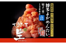 無冷凍 辛子明太子(切れ子) 博多よかめんたい 生 1.2kg (200g×6) 訳あり 無着色