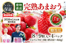 アフター保証 あまおう 8～9粒入り×4パック  【先行受付／2026年1月以降順次発送予定】いちご 大粒 不揃い DX デラックス エクセレント 苺 イチゴ 福岡高級 フルーツ 土産 福岡県