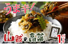辛子高菜 240g×1パック 山賊の高菜 からし高菜 メール便 ポッキリ お米に合う ご飯のお供 おつまみ 国産 無添加 お取り寄せ 福岡 お土産 九州 グルメ 福岡県