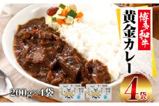 博多和牛　黄金カレー