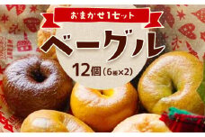 ベーグルおまかせ1セット/12個（6種×2）福岡 ベーグル 冷凍パン ずっしり・もちもち美味しい 手作り 沖縄の塩 おまかせで何が届くかお楽しみ 自然解凍
