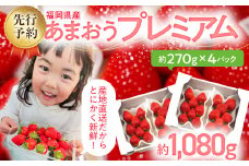【先行予約/2025年】あまおうプレミアム 約270g×4パック《2025年2月以降順次発送》 農家直送 あまおう いちご 苺 フルーツ お取り寄せグルメ お取り寄せ 福岡 お土産 九州 福岡土産 取り寄せ グルメ 福岡県 【北海道・沖縄・離島への配送不可】