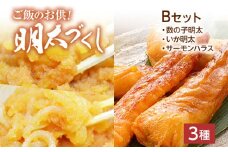 ご飯のお供！明太づくしBセット（数の子明太子・いか明太子・サーモンハラス明太漬） 辛子明太子 鯑 イカ明太 鮭 シャケ お取り寄せグルメ お取り寄せ 福岡 お土産 九州 福岡土産 取り寄せ グルメ 福岡県