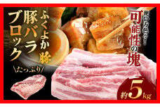 ふくよか豚バラブロック約5kg 豚バラブロック 豚バラブロック肉 豚肉 ブタ肉 豚 豚バラ ブロック肉 塊肉 自家製ベーコン チャーシュー しゃぶしゃぶ 角煮 燻製 煮込み料理 ふくよか豚 焼き鳥 サムギョプサル 冷蔵