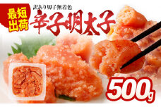 訳あり 無着色辛子明太子500g 辛子明太子 お土産 ギフト 業務用 HACCP認定 バラコ 海鮮 魚介 熟成 お取り寄せ 小分け 白ワイン わけあり 理由あり 切れ子 切子 めんたいこ 福岡県 福岡 九州 グルメ お取り寄せ【賞味期限:2025年12月9日】