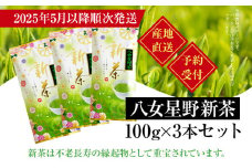 【予約返礼品/2025年5月以降順次発送】新茶 八女星野茶 100g×3本 緑茶 八女茶 お茶 茶葉 セット お取り寄せグルメ お取り寄せ 福岡 お土産 九州 福岡土産 取り寄せ グルメ 福岡県
