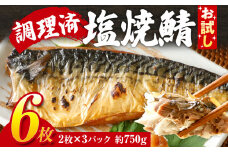 お試し さば 塩サバ 塩焼鯖6枚 大ぶり 調理済 レンチン 温めるだけ 脂のり 惣菜 晩御飯 おかず ジューシー 冷凍 お弁当 レンジ調理 サバ 自社製造 朝ごはん 和食 簡単調理 アレンジ 塩焼き