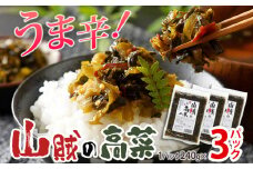 辛子高菜 240g×3パック（720g） 山賊の高菜 からし高菜 メール便 ポッキリ お米に合う ご飯のお供 おつまみ 国産 無添加 お取り寄せ 福岡 お土産 九州 グルメ 福岡県