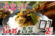 辛子高菜 240g×2パック（480g） 山賊の高菜 からし高菜 メール便 ポッキリ お米に合う ご飯のお供 おつまみ 国産 無添加 お取り寄せ 福岡 お土産 九州 グルメ 福岡県