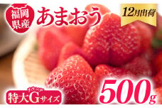 福岡県産 あまおう 500g （250g×2パック） いちご 12月中発送 いちご 苺 フルーツ 果物 くだもの 大粒Gサイズ グランデ 農家直送 大粒 不揃い 福岡県 福岡 九州 グルメ お取り寄せ
