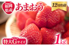 福岡県産 あまおう 1000g （250g×4パック） いちご 12月中発送 いちご 苺 フルーツ 果物 くだもの 大粒Gサイズ グランデ 農家直送 大粒 不揃い 福岡県 福岡 九州 グルメ お取り寄せ
