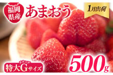 福岡県産 あまおう 500g （250g×2パック） いちご 1月中発送 いちご 苺 フルーツ 果物 くだもの 大粒Gサイズ グランデ 農家直送 大粒 不揃い 福岡県 福岡 九州 グルメ お取り寄せ