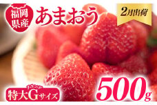 福岡県産 あまおう 500g （250g×2パック） いちご 2月中発送 いちご 苺 フルーツ 果物 くだもの 大粒Gサイズ グランデ 農家直送 大粒 不揃い 福岡県 福岡 九州 グルメ お取り寄せ