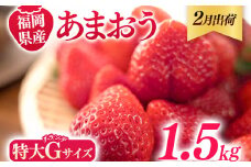 福岡県産 あまおう 1500g （250g×6パック） いちご 2月中発送 いちご 苺 フルーツ 果物 くだもの 大粒Gサイズ グランデ 農家直送 大粒 不揃い 福岡県 福岡 九州 グルメ お取り寄せ