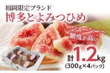 いちじく 博多とよみつひめ 300g×4パック いちじく イチジク 無花果 計1.2kg 福岡限定 フルーツ 果物 とよみつひめ 九州 福岡 ジューシー 糖度が高い スムージー フレッシュ 福岡県産【2025年8月以降順次発送予定】