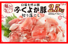 豚肉 ふくよか豚 切り落とし 2.5kg（250g×10パック） モモ ウデ モモ肉 ウデ肉 小分け 真空パック ブタ肉 ぶた肉 生姜焼き 焼きそば 豚汁 冷凍 福岡県 福岡 九州 グルメ お取り寄せ