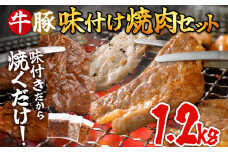 牛豚味付け焼肉セット 1.2kg 牛ハラミ 牛バラ 豚バラ 味付き 小分け 保存 醤油 にんにく タレ 子供 生姜 香味野菜 ネギ塩 キャンプ バーベキュー 福岡県 福岡 九州 グルメ お取り寄せ