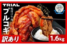 【訳あり】プルコギ 牛肉 切り落とし 味付け 小分け 1.6kg トライアル 焼肉 冷凍 タレ漬け 韓国料理 惣菜 おかず 辛くない 子供でも食べられる 牛丼 チャプチェ お取り寄せ 福岡