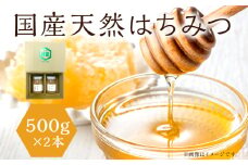 はちみつ 国産 蜂蜜 ハチミツ 1kg 国産 天然 はちみつ 500g×2本 計1kg 福岡県 福岡 九州 グルメ お取り寄せ
