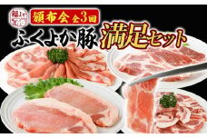 【頒布会】豚肉 しゃぶしゃぶ 焼肉 ステーキ ふくよか豚 満足セット 定期便 ロース 肩ロース バラ モモ ヒレ 小分け ブタ肉 ぶた肉 冷凍 福岡県 福岡 九州 グルメ お取り寄せ