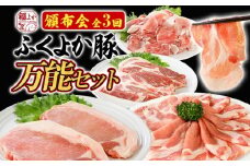 【頒布会】豚肉 切り落とし しゃぶしゃぶ ステーキ ふくよか豚 万能セット 定期便 ロース 肩ロース バラ モモ ヒレ 小分け ブタ肉 ぶた肉 冷凍 福岡県 福岡 九州 グルメ お取り寄せ