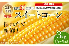 とうもろこし スイートコーン 3kg（6~9本）野菜 コーン スーパースイートコーン 採れたて 糖度20度 【2025年5月下旬頃より順次発送予定】