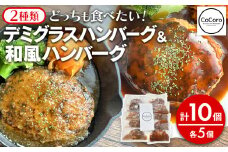 どっちも食べたい デミグラスハンバーグ＆和風ハンバーグ 各5個 10個 ハンバーグ 手ごね 和風 デミグラス 国産 晩御飯 おかず お弁当 冷凍 合挽 レンジ 温めるだけ レンチン 湯銭 二種 福岡 お土産 九州 福岡土産 福岡県